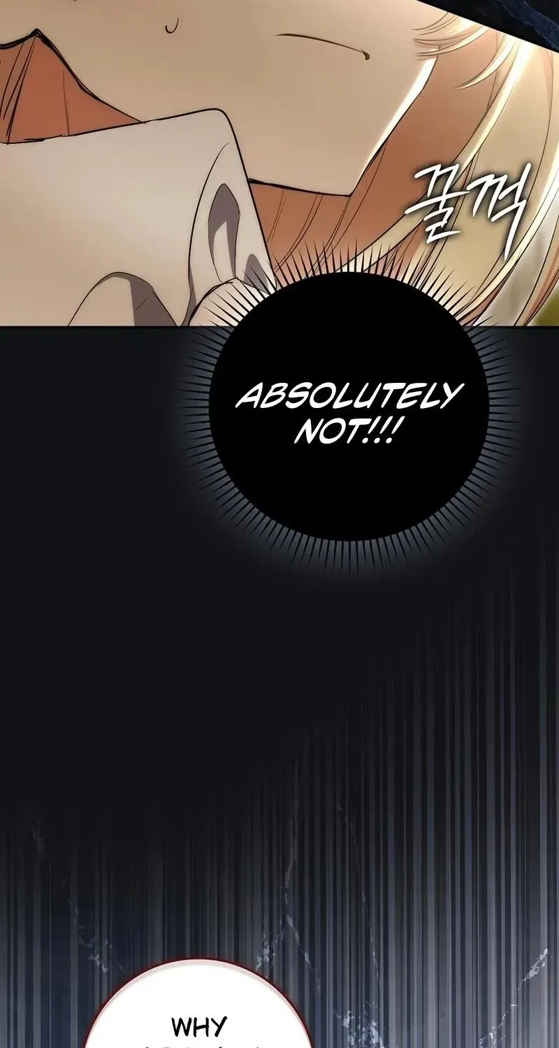 Sister-in-law of the Heroine in a Childcare Novel Chapter 1 - page 108