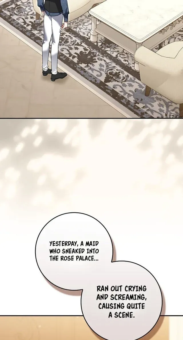 Sister-in-law of the Heroine in a Childcare Novel Chapter 23 - page 2