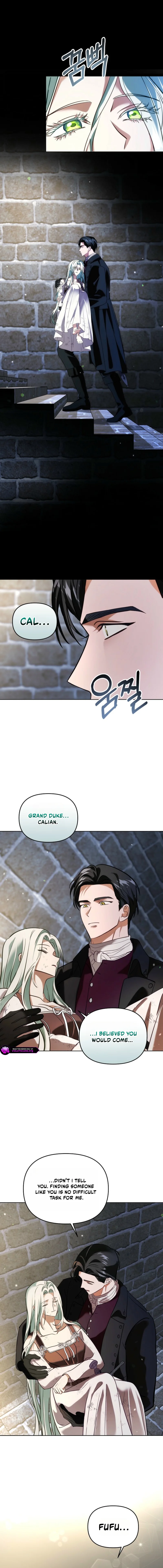 I Became the Wife of the Cursed Grand Duke Chapter 6 - page 15