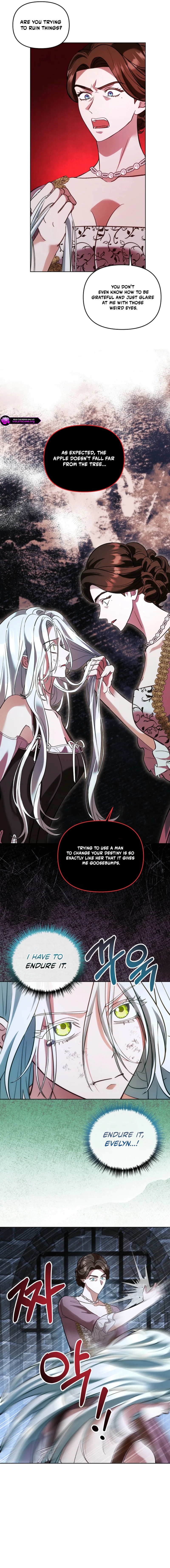 I Became the Wife of the Cursed Grand Duke Chapter 6 - page 8