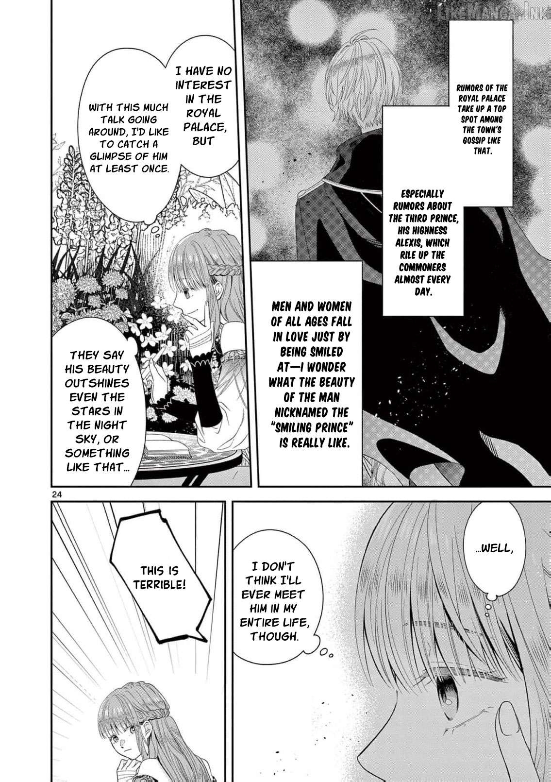 The Perfect Prince's Mad Love Chapter 1 - page 27