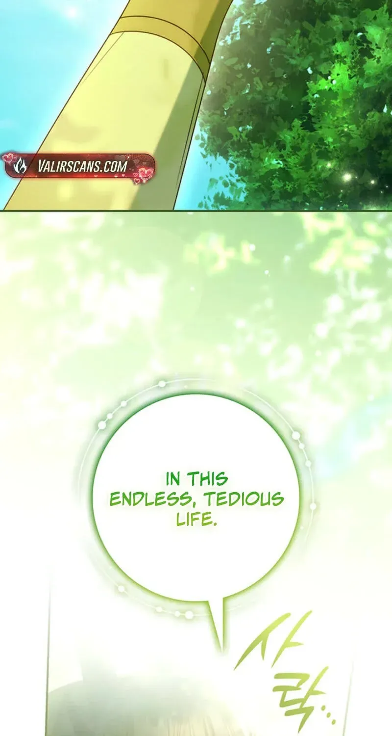 Father, I Won’T Do Anything Chapter 81 - page 46