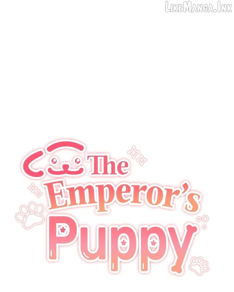 The Emperor’s Dog Chapter 70 - page 1