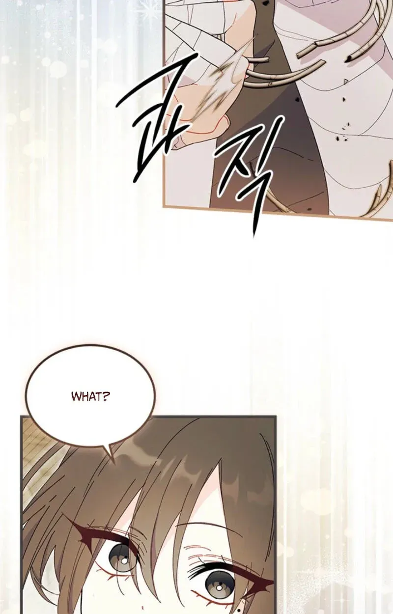 I Don't Want To Play Matchmaker! Chapter 108 - page 71