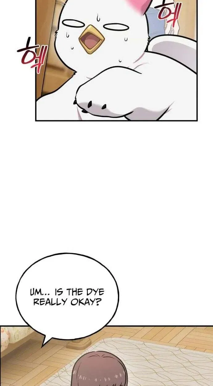 Hello, Griffin the Fluffy Bird! Chapter 50 - page 12