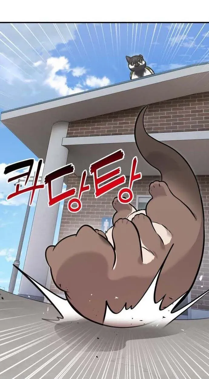 Hello, Griffin the Fluffy Bird! Chapter 50 - page 84