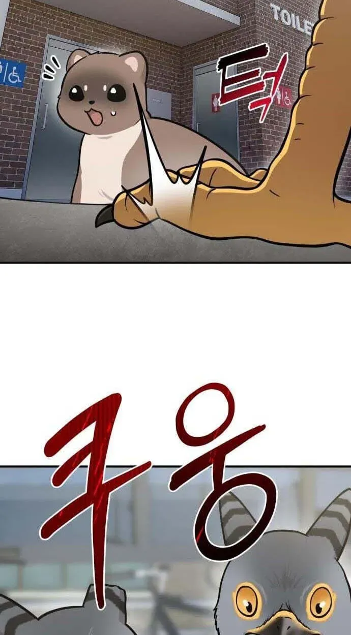 Hello, Griffin the Fluffy Bird! Chapter 50 - page 88