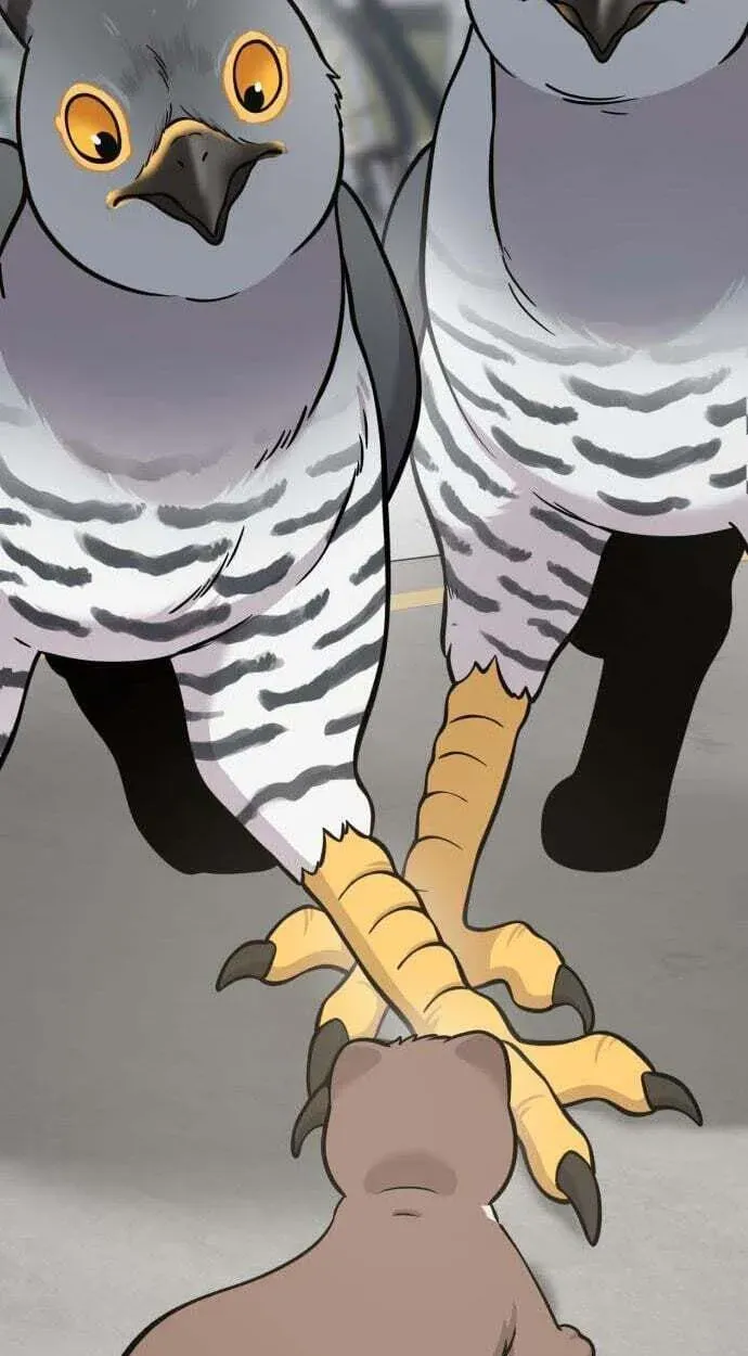 Hello, Griffin the Fluffy Bird! Chapter 50 - page 89