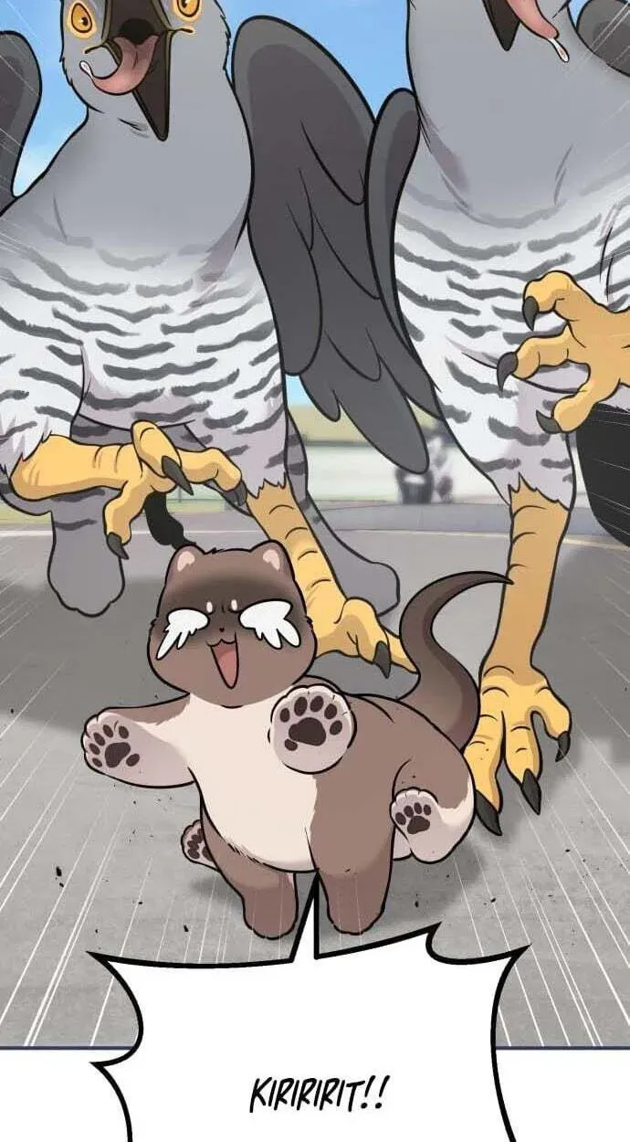 Hello, Griffin the Fluffy Bird! Chapter 50 - page 92