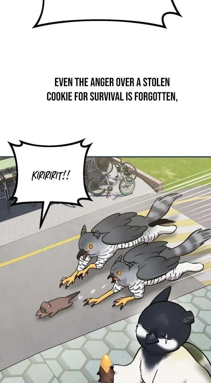Hello, Griffin the Fluffy Bird! Chapter 50 - page 93