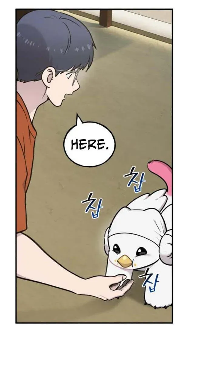 Hello, Griffin the Fluffy Bird! Chapter 51 - page 28