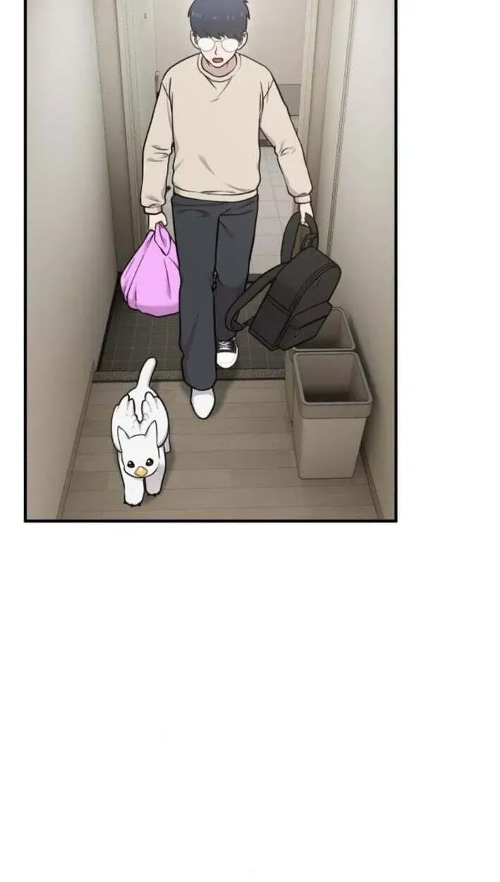 Hello, Griffin the Fluffy Bird! Chapter 51 - page 72