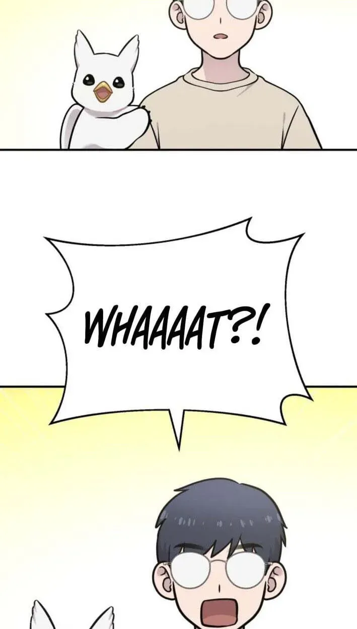 Hello, Griffin the Fluffy Bird! Chapter 51 - page 88