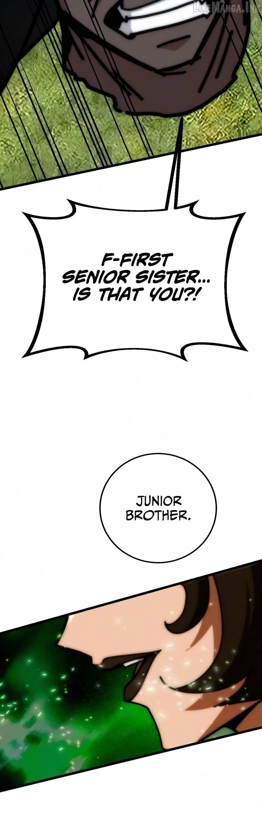 Initializing the Sect System Chapter 46 - page 25